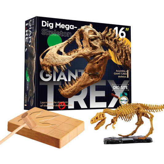 GIANT T-REX DIG SITE - Kids Toy Chest 