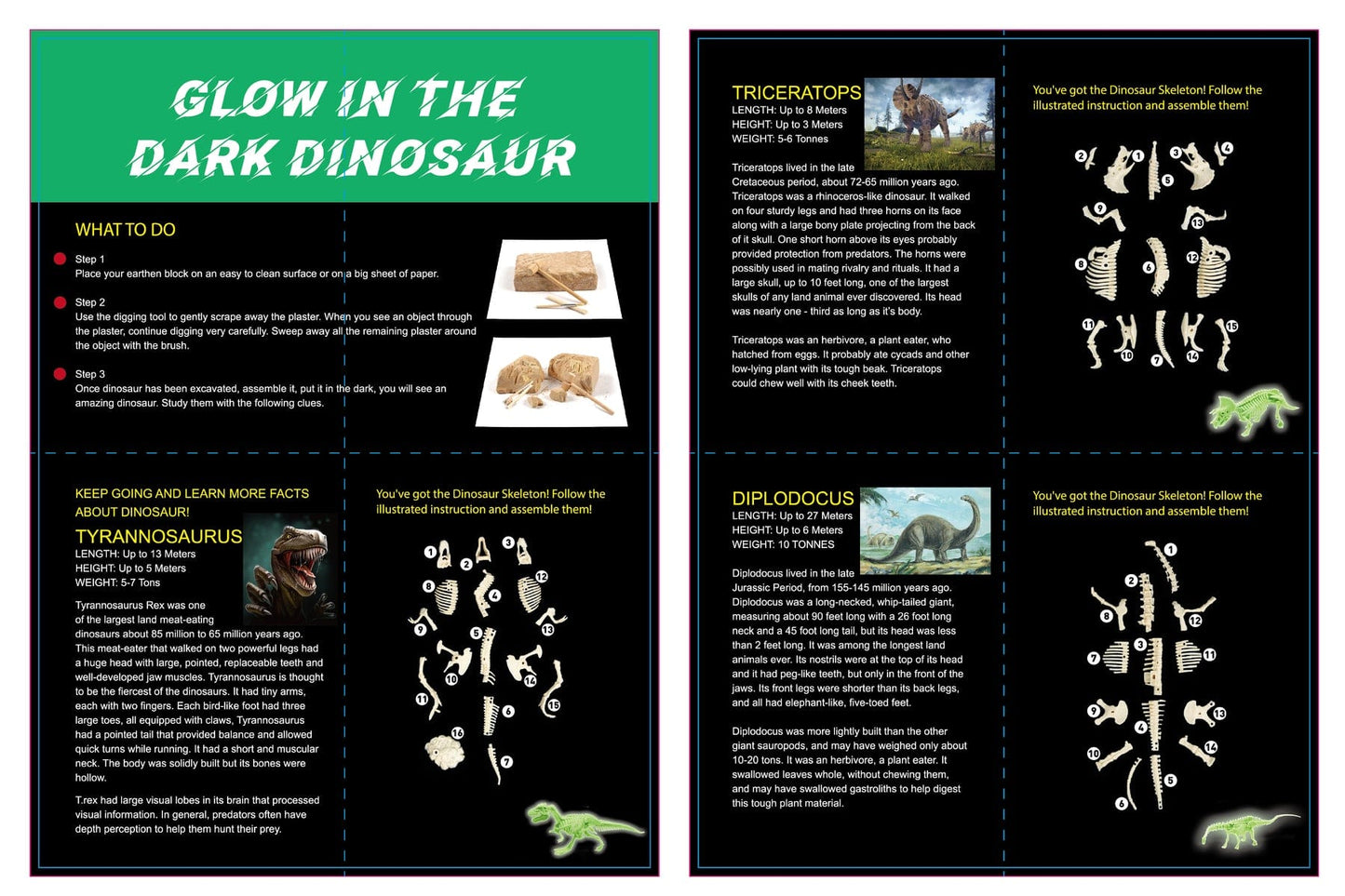 GLOW IN THE DARK TYRANNOSAURUS EXCAVATION KIT - Kids Toy Chest 