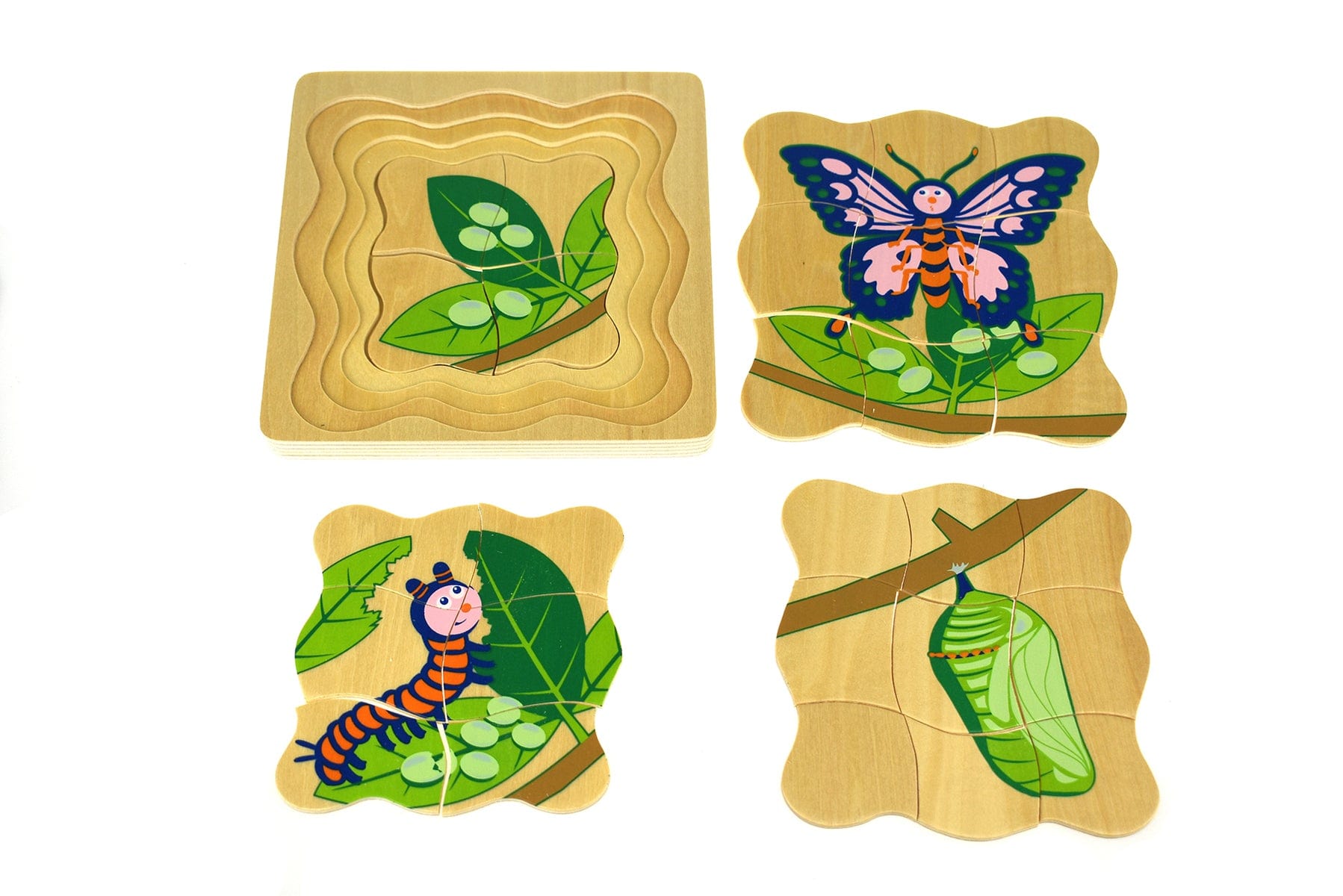 BUTTERFLY LIFECYCLE 4 LAYERS PUZZLE BOARD - Kids Toy Chest 