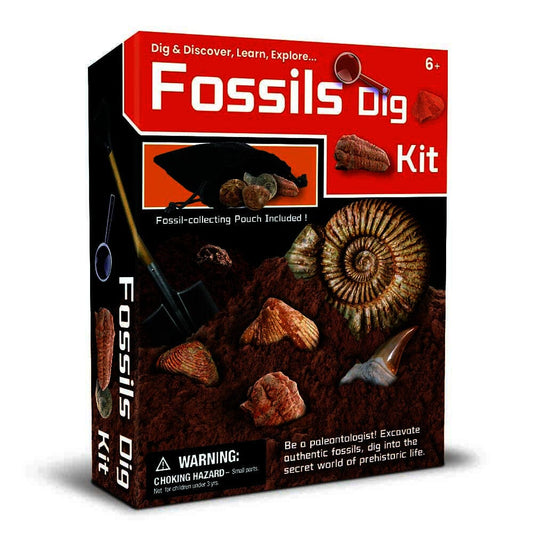 Kids Toy Chest Brand-Kaper Kidz, Science-Science Kits DIG & DISCOVER FOSSILS DIG KIT