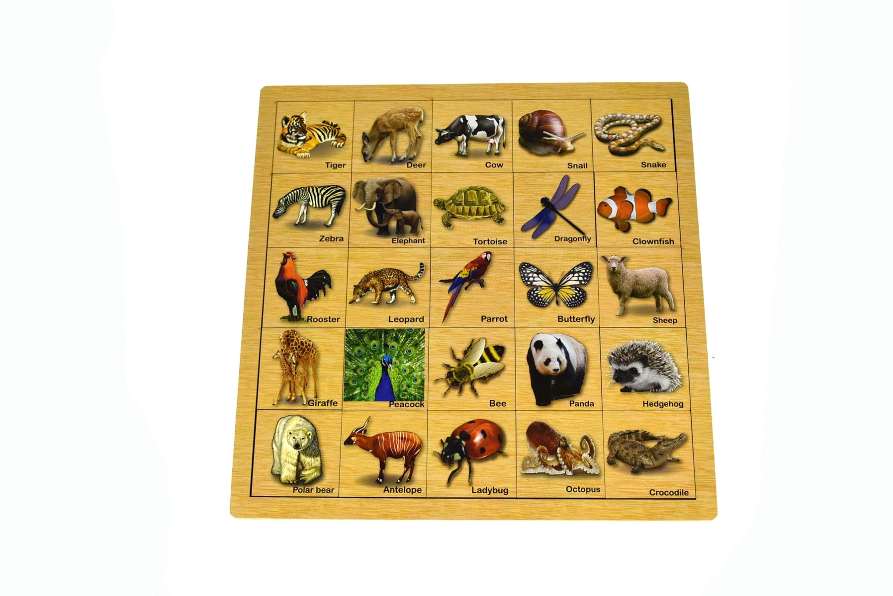 Kids Toy Chest Brand-Kaper Kidz, Toys-Educational, Games-Peg & Tray Puzzles ANIMAL SKIN MATCHING PUZZLE TRAY