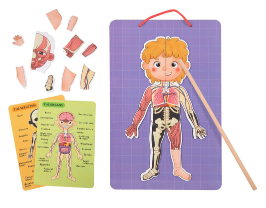 Kids Toy Chest Brand-Tooky Toy, Toys-Educational MAGNETIC BODY CHART