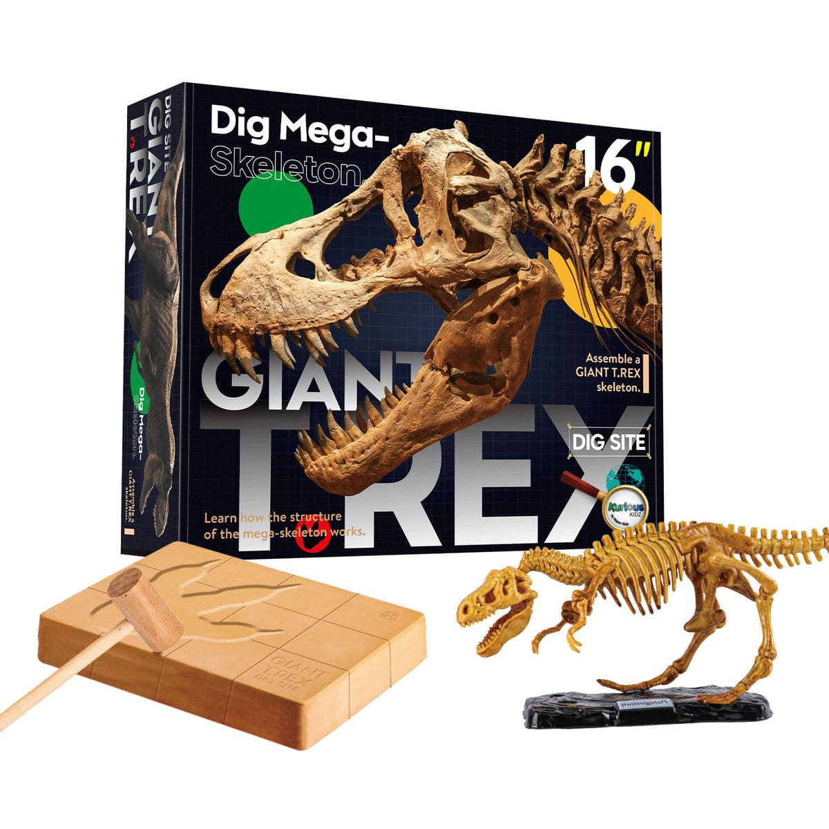 Kids Toy Chest GIANT T-REX DIG SITE