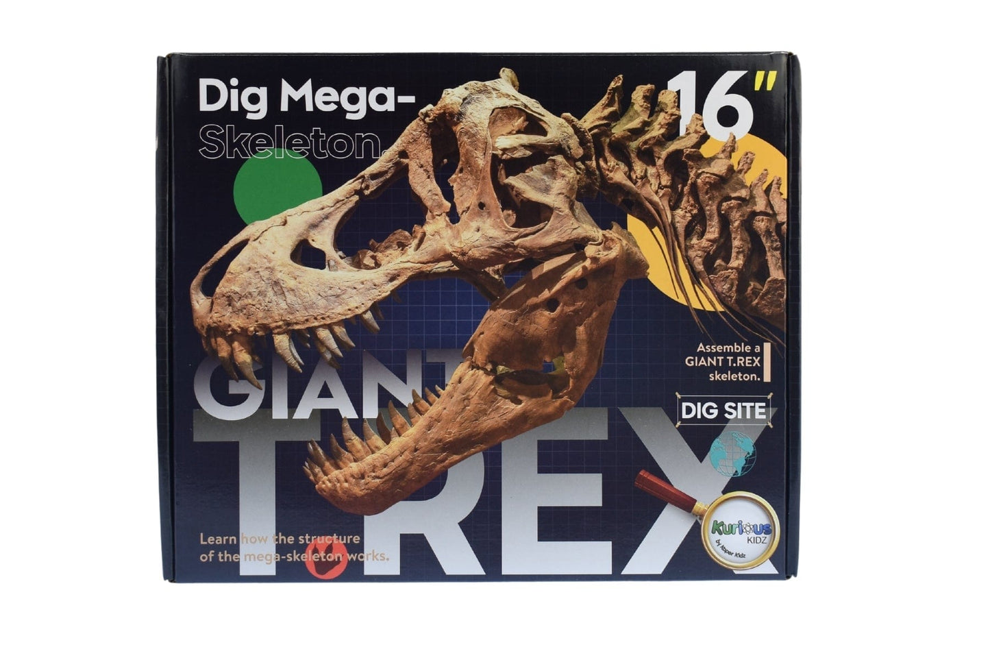 Kids Toy Chest GIANT T-REX DIG SITE