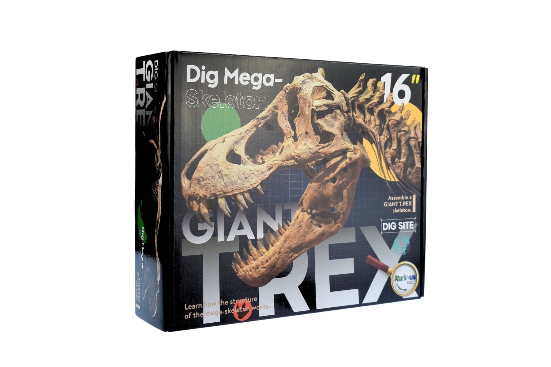 Kids Toy Chest GIANT T-REX DIG SITE