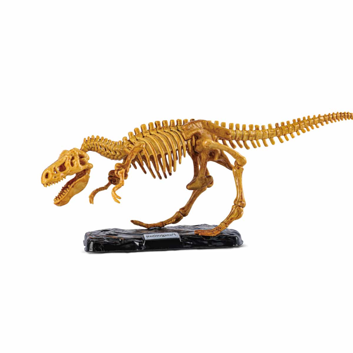 Kids Toy Chest GIANT T-REX DIG SITE
