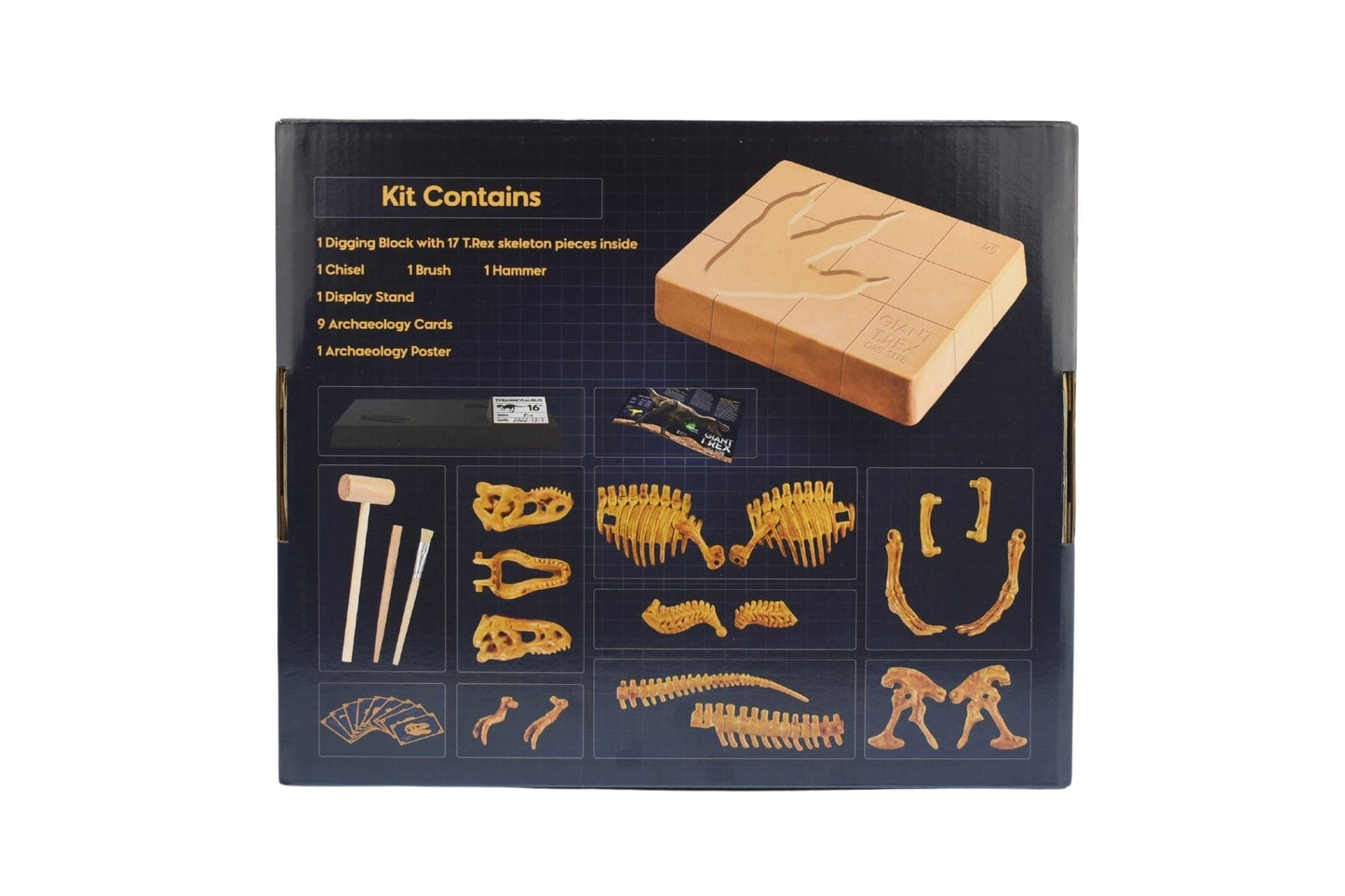 Kids Toy Chest GIANT T-REX DIG SITE